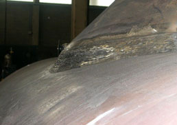 View Document 